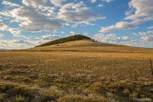 6065 Moffat Rd, Hartsel, CO 80449 - Photo 1