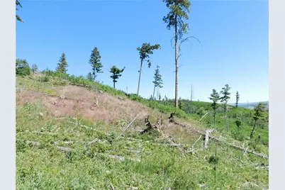 8249 Yuma Circle, Larkspur, CO 80118 - Photo 19