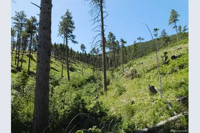 8249 Yuma Circle, Larkspur, CO 80118 - Photo 23