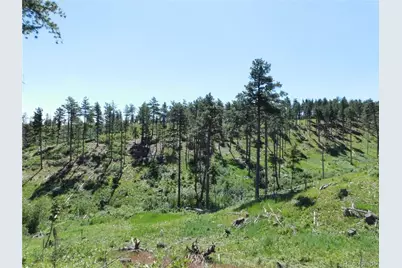 8249 Yuma Circle, Larkspur, CO 80118 - Photo 11