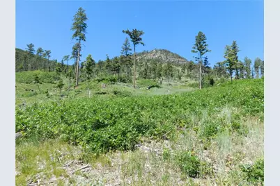 8249 Yuma Circle, Larkspur, CO 80118 - Photo 39