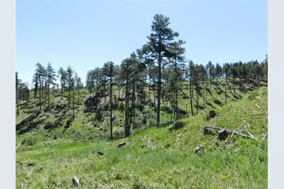 8249 Yuma Circle, Larkspur, CO 80118 - Photo 15