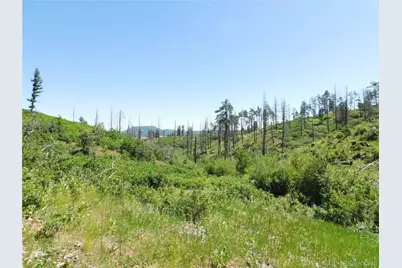 8249 Yuma Circle, Larkspur, CO 80118 - Photo 37