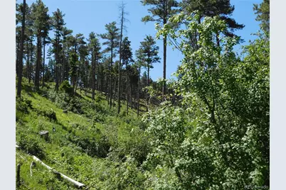 8249 Yuma Circle, Larkspur, CO 80118 - Photo 33