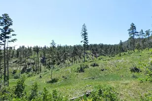 8249 Yuma Cir, Larkspur, CO 80118 - Photo 1