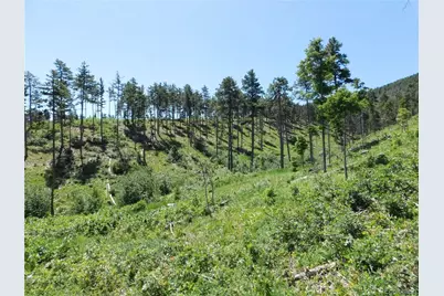 8249 Yuma Circle, Larkspur, CO 80118 - Photo 41