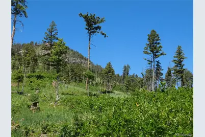 8249 Yuma Circle, Larkspur, CO 80118 - Photo 35