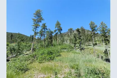 8249 Yuma Circle, Larkspur, CO 80118 - Photo 7