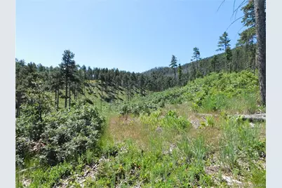 8249 Yuma Circle, Larkspur, CO 80118 - Photo 45