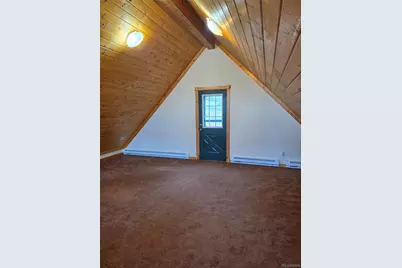 305 Private Drive, Lake George, CO 80827 - Photo 15