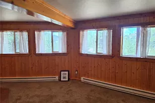 305 Private Dr, Lake George, CO 80827 - Photo 17
