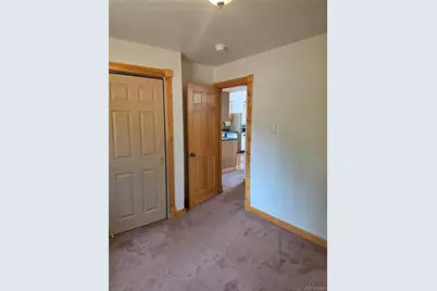 305 Private Drive, Lake George, CO 80827 - Photo 23