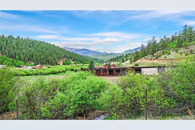109 Wolf Road, Bailey, CO 80421 - Photo 17
