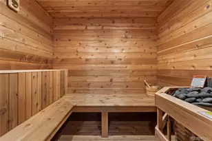 1485 Gore Cir, Larkspur, CO 80118 - Photo 47