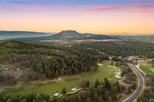 1485 Gore Cir, Larkspur, CO 80118 - Photo 49