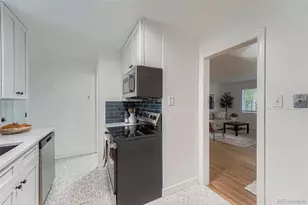 2985 Ivanhoe St, Denver, CO 80207 - Photo 9