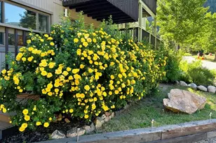 1702 Clear Creek Dr, Georgetown, CO 80444 - Photo 9