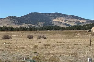 1925 Doe Valley Rd, Guffey, CO 80820 - Photo 29