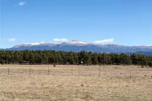 1925 Doe Valley Rd, Guffey, CO 80820 - Photo 31