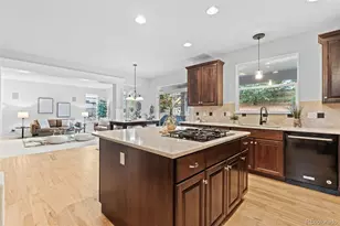 10683 Amesbury Way, Highlands Ranch, CO 80126 - Photo 15