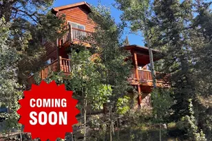 152 Ithaca Ln, Como, CO 80432 - Photo 1