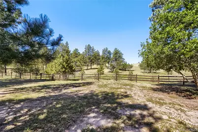 5469 Fox Sparrow Road, Parker, CO 80134 - Photo 47