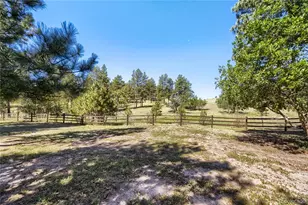 5469 Fox Sparrow Rd, Parker, CO 80134 - Photo 47