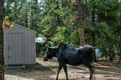 768 Coil Drive, Fairplay, CO 80440 - Photo 29