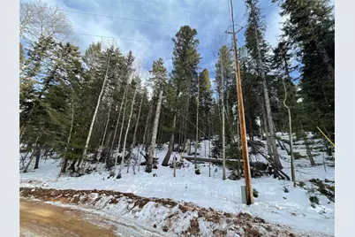 222 Banner Trail, Florissant, CO 80816 - Photo 3