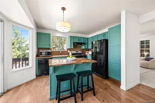 4807 N Bearlily Way, Castle Rock, CO 80109 - Photo 9