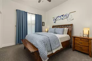 433 Scrubjay Cir, Castle Rock, CO 80104 - Photo 23