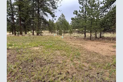 120 Harness Way, Hartsel, CO 80449 - Photo 1