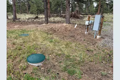 120 Harness Way, Hartsel, CO 80449 - Photo 3