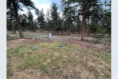 120 Harness Way, Hartsel, CO 80449 - Photo 11
