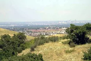 2632 Pemberly Ave, Highlands Ranch, CO 80126 - Photo 47