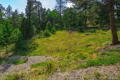 0 West Meadow Road, Evergreen, CO 80439 - Photo 27