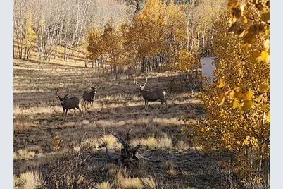 2387 Buffalo Ridge Road, Como, CO 80432 - Photo 39