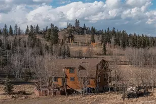 2387 Buffalo Ridge Rd, Como, CO 80432 - Photo 3