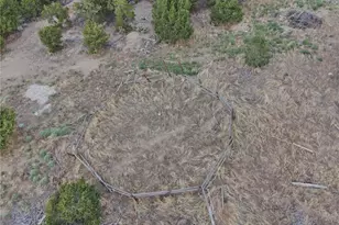 1380 Dunn Rd, San Luis, CO 81152 - Photo 41