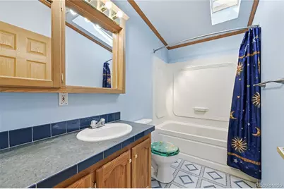 4441 Goldenburg Canyon Road, Hartsel, CO 80449 - Photo 27