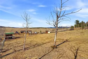 4441 Goldenburg Canyon Rd, Hartsel, CO 80449 - Photo 41