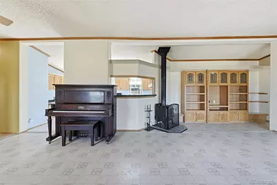 4441 Goldenburg Canyon Road, Hartsel, CO 80449 - Photo 7