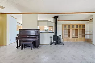 4441 Goldenburg Canyon Rd, Hartsel, CO 80449 - Photo 7