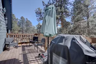 33350 Beverly Rd, Pine, CO 80470 - Photo 27