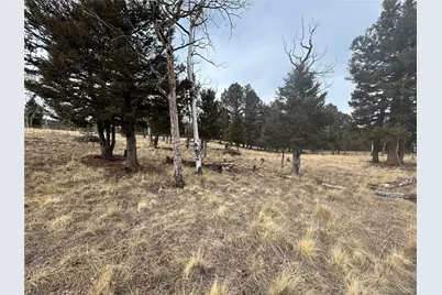 1421 Pitchfork Road, Hartsel, CO 80449 - Photo 3