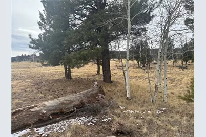 1421 Pitchfork Road, Hartsel, CO 80449 - Photo 11