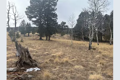 1421 Pitchfork Road, Hartsel, CO 80449 - Photo 9