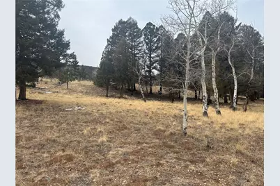 1421 Pitchfork Road, Hartsel, CO 80449 - Photo 15