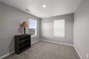 17311 Rose Mallow St, Parker, CO 80134 - Photo 15