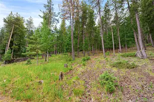 6773 Snowshoe Trail, Evergreen, CO 80439 - Photo 41